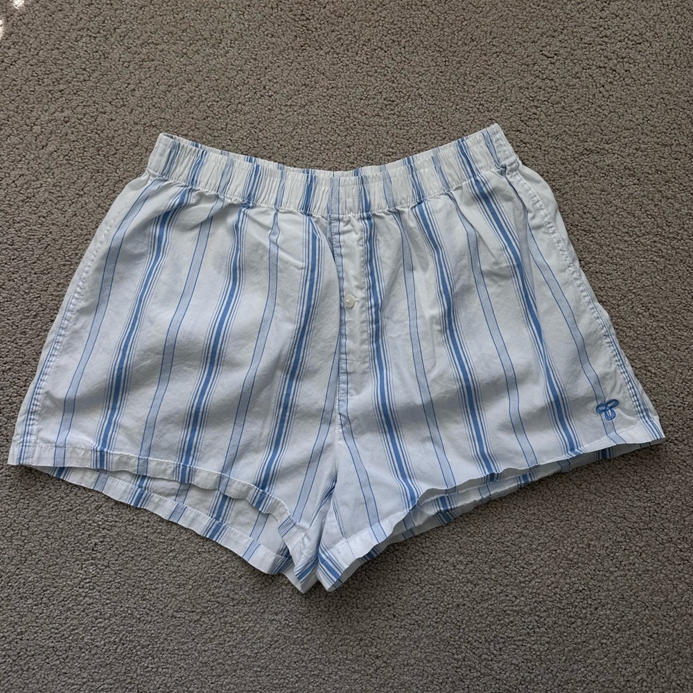 Aritzia Light Blue and White Striped Women’s Shorts